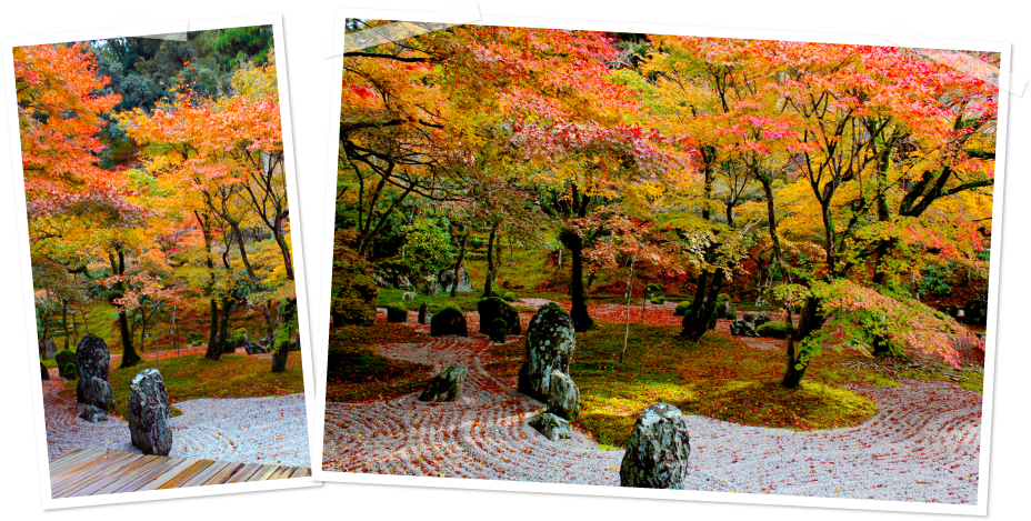 光明禅寺 枯山水の庭園 紅葉