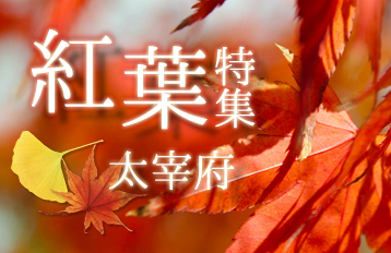 紅葉特集～太宰府～