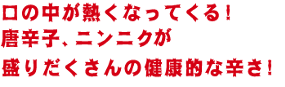 口の中が熱くなってくる！唐辛子、にんにくが盛りだくさんの健康的な辛さ！