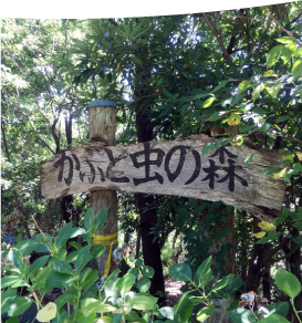 飯盛山 カブトムシの森入り口