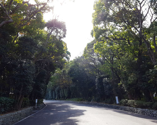 護国神社 