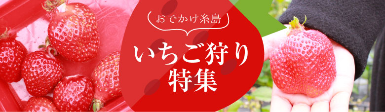 おでかけ糸島 いちご狩り特集