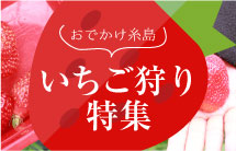 おでかけ糸島 いちご狩り特集