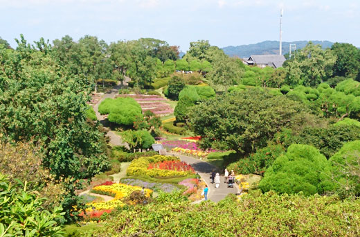 のこのしまアイランドパーク 園内