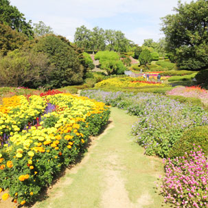 のこのしまアイランドパーク 花