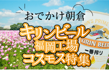 おでかけ朝倉 キリンビール福岡工場 コスモス特集