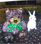福岡 イルミネーション 六本松