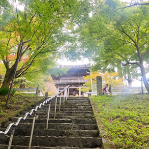 雷山千如寺大悲王院 階段