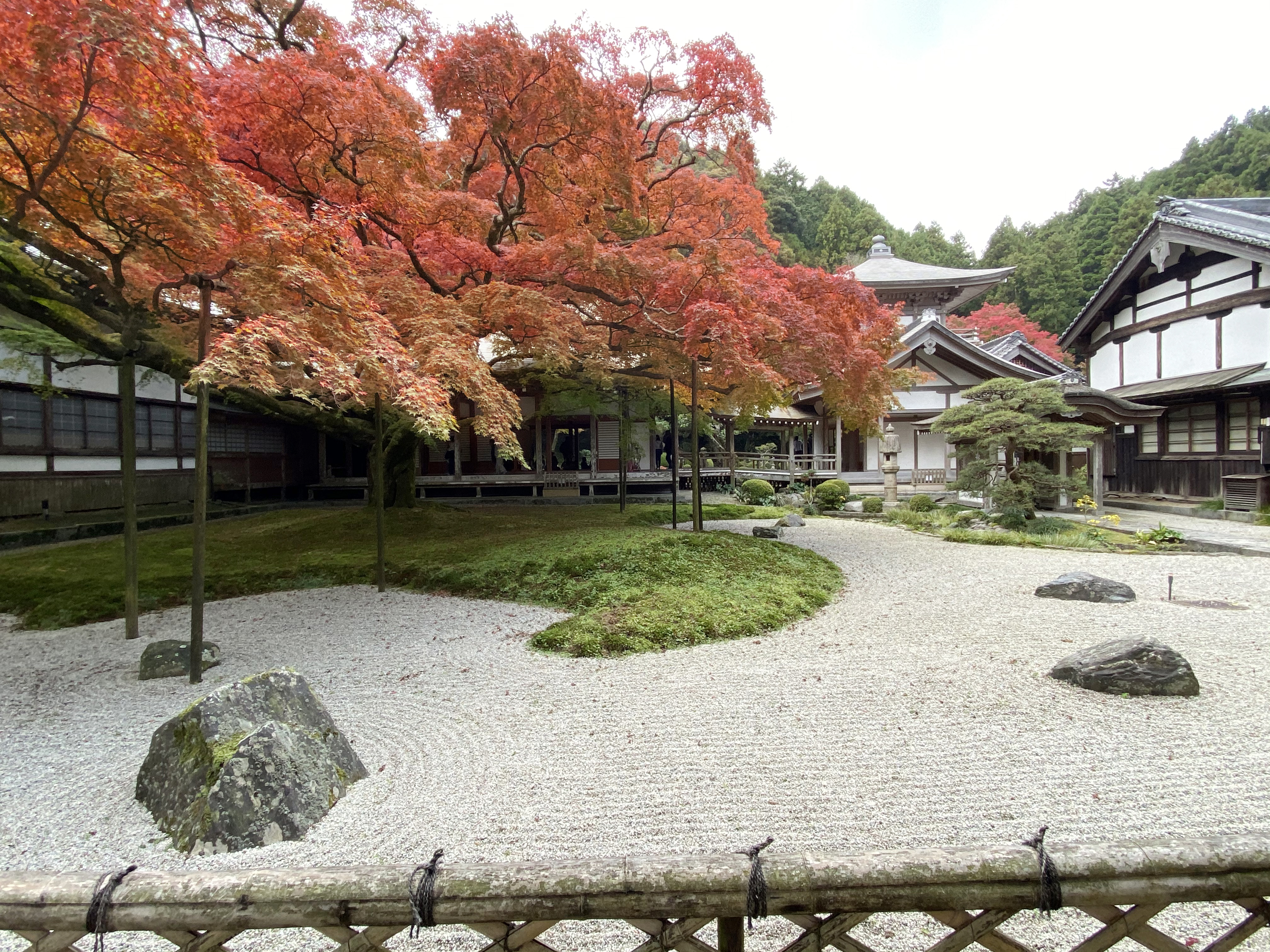 雷山千如寺大悲王院　庭