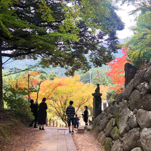 雷山千如寺大悲王院 庭