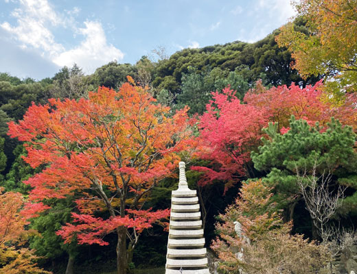 雷山千如寺大悲王院　紅葉