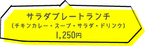 サラダプレートランチ（チキンカレー・サラダ・スープ・ドリンク） 1250円
