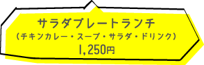 サラダプレートランチ(チキンカレー・サラダ・スープ・ドリンク) 1250円