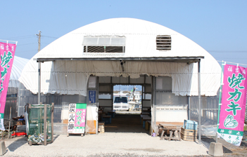 糸島 福吉エリア 牡蠣小屋 伸栄丸 カキの佐々木