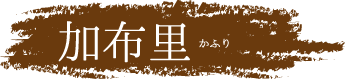 糸島 加布里エリア