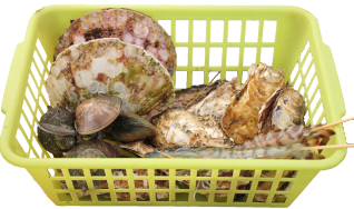 船越漁港　ケンちゃんかき 牡蠣