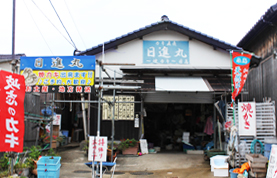 糸島 岐志エリア 牡蠣小屋 日進丸 