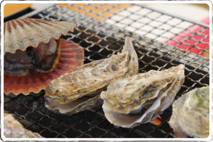 福吉漁港　かきのますだ 牡蠣　ひおうぎ貝