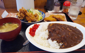 チョイス・デ・ランチ から揚げ ヒレカツ カレー