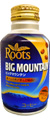 BIG MOUNTAIN《Roots》 写真