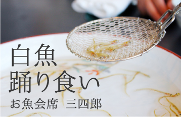 福岡の春の風物詩 白魚踊り食い【お魚会席三四郎】